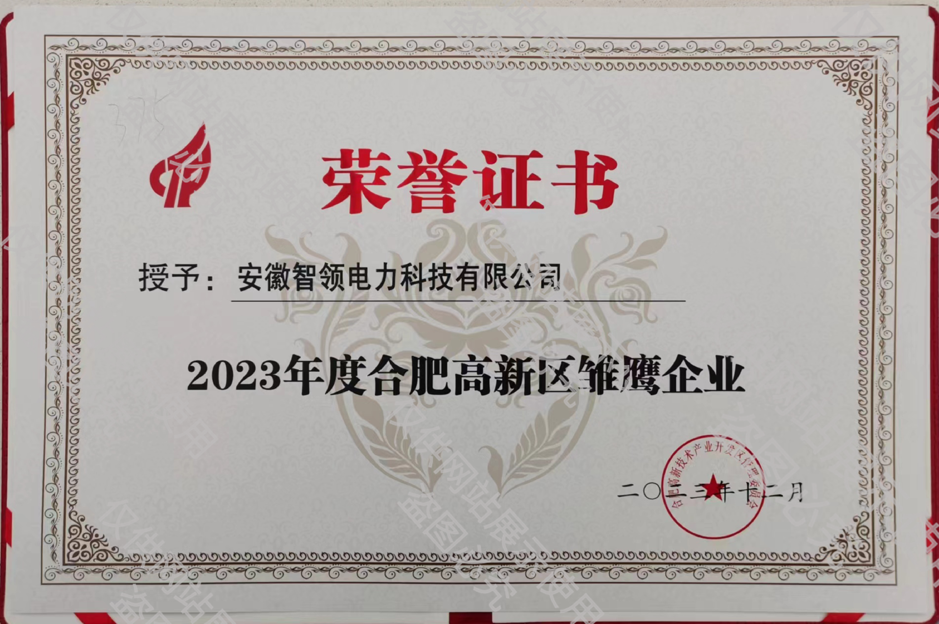 2023年度雏鹰企业.png